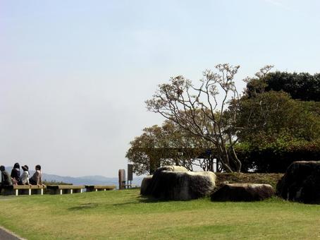 笠間つつじ公園-9 笠間つつじ公園-9 笠間つつじ公園,茨城県笠間市,笠間のつつじまつりの写真素材