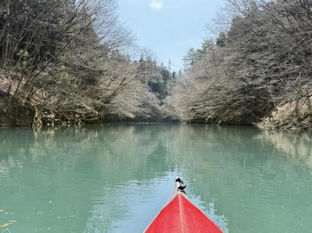四万湖 カヌー 四万湖 カヌーの写真