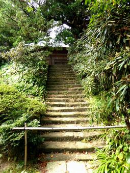 鎌倉市・浄光明寺の高台に続く石段 階段,石段,草木の写真素材