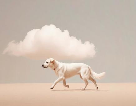 犬と雲 犬と雲の写真