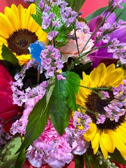 夏の花 夏の花の写真