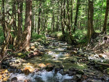 梓川の支流 夏の上高地 梓川の支流 夏の上高地 梓川,川,河川の写真素材
