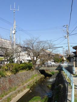 3月、小川を囲んだ穏やかな風景 3月、小川を囲んだ穏やかな風景 川,河川,小川の写真素材