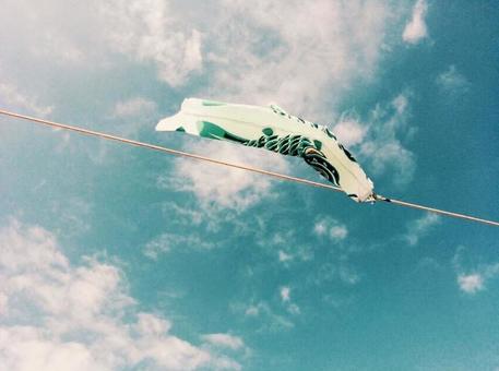 carp streamer, carp streamer, swim, sky, JPG