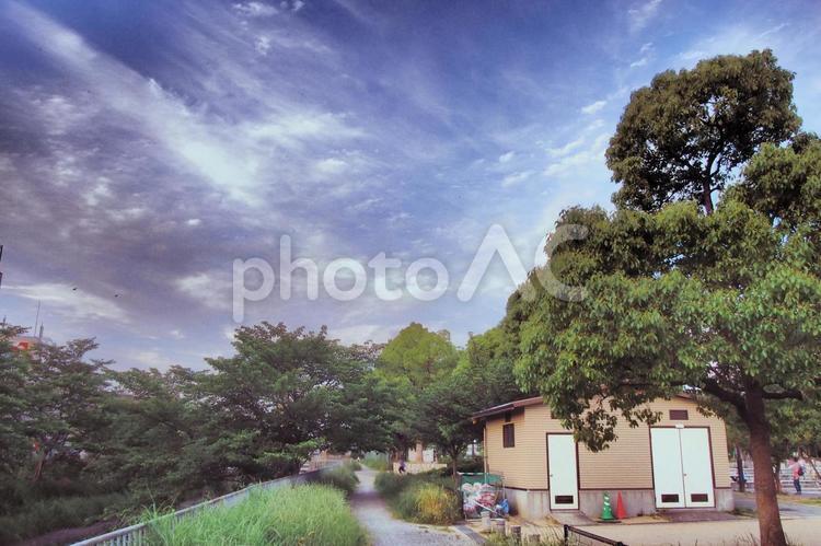 レトロな5月のたそがれの公園風景 市場池公園,たそがれ,黄昏の写真素材