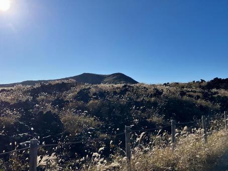 大島三原山山頂のススキ風景 大島,三原山,山頂の写真素材