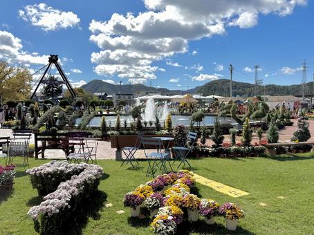 秋の武生中央公園 モニュメント,菊人形,菊祭の写真素材