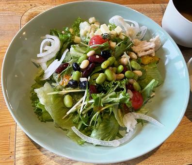 豆サラダ 豆サラダ,グリーンサラダ,豆の写真素材