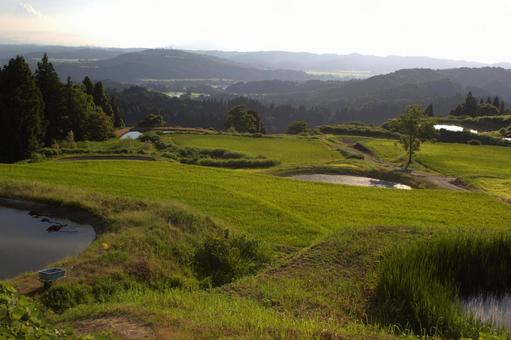 越後木沢 不動林と棚田 越後木沢 不動林と棚田 林,山,棚田の写真素材