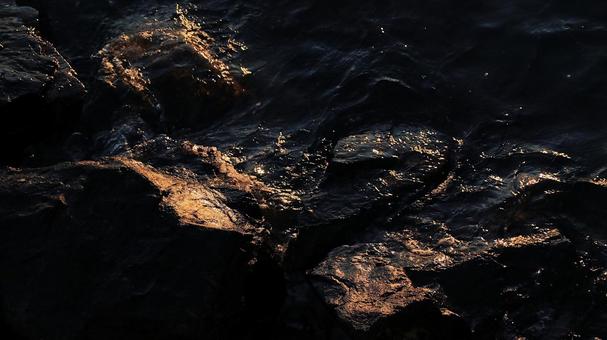 秋の夕日に照らされて輝く浜名湖の岸辺の岩 秋の夕日に照らされて輝く浜名湖の岸辺の岩 夕日,秋,浜名湖の写真素材