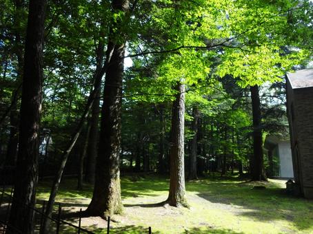 Karuizawa scenery, JPG