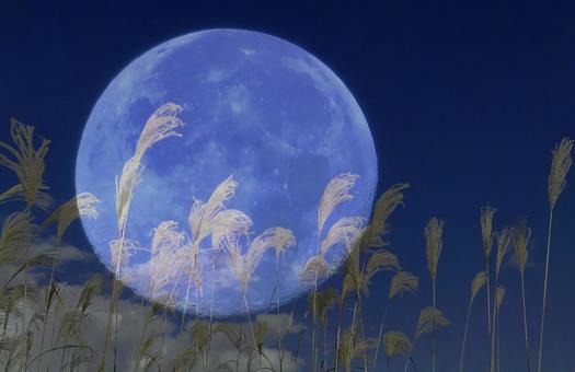 秋イメージ素材/満月とススキの穂 秋イメージ素材/満月とススキの穂の写真