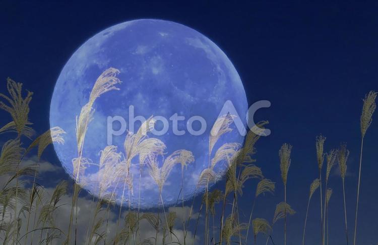 秋イメージ素材/満月とススキの穂 月,ススキの穂,秋の写真素材