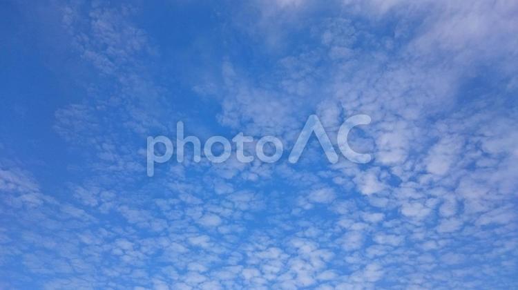 雨上がりの澄みきった青空 さわやか,ふわふわ,バックグランドの写真素材