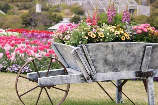 花 花の写真