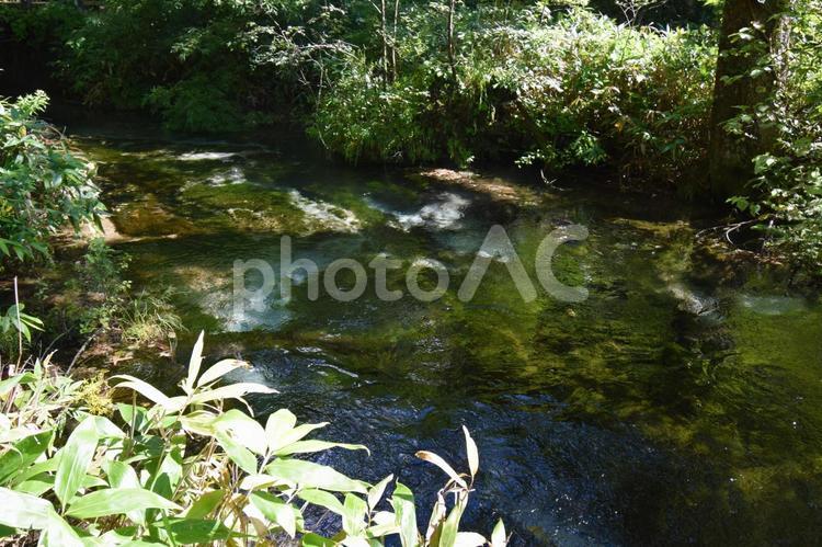 川の風景　上高地 上高地,観光,観光地の写真素材