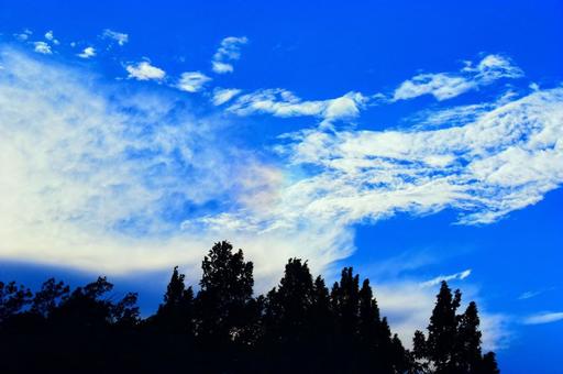 Rainbow clouds appearing above the forest, JPG