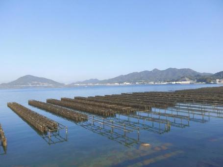 【風景写真】江田島の風景 牡蠣筏,牡蠣棚,江田島の写真素材