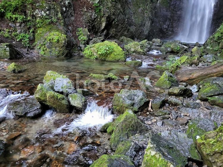 川苔山　百尋の滝　沢 自然,川,滝の写真素材