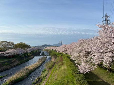 花川春が映す道 花川春が映す道の写真