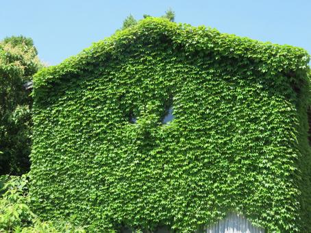 ムックハウス ムックハウスの写真