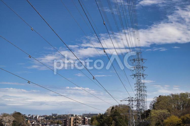青空と多くの電線 鉄塔,空,電線の写真素材