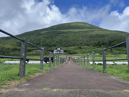 八丈島 八丈島の写真
