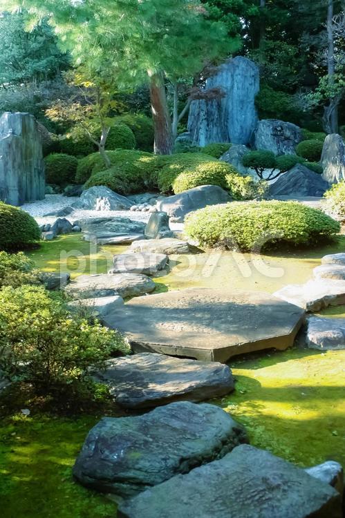 石畳みのある日本庭園 日本庭園,緑樹,秋の写真素材