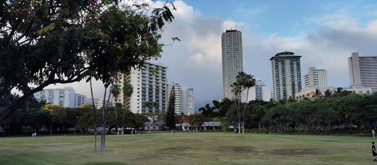 公園とホテルの風景 公園とホテルの風景 木,植物,自然の写真素材