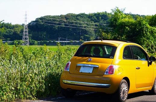 夏の田舎の帰り道 車,グリーン,外車の写真素材