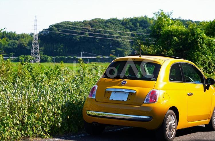 夏の田舎の帰り道 車,グリーン,外車の写真素材