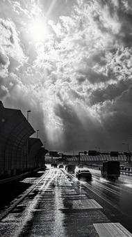 雨上がり 雨上がりの写真