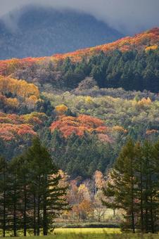 秋の北海道へ 季節,秋,紅葉の写真素材