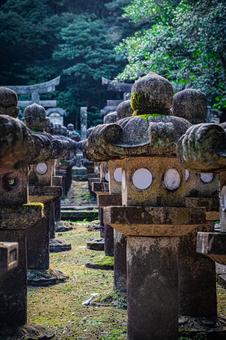 山口県　萩藩主毛利家墓所（東光寺） 萩藩主毛利家墓所,東光寺,萩の写真素材