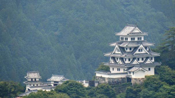 郡上八幡城 郡上八幡城 郡上八幡,郡上八幡城,城の写真素材