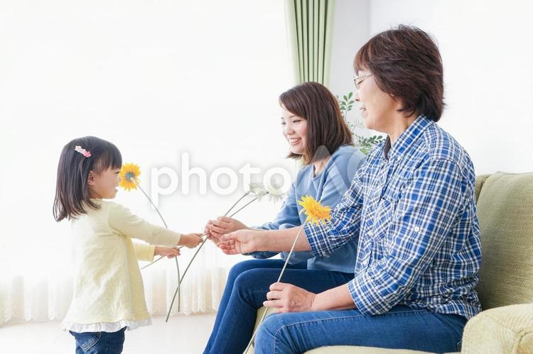おばあちゃんにお花を渡す子供 感謝,美人,幼稚園児の写真素材