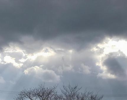 太陽の光 太陽の光の写真
