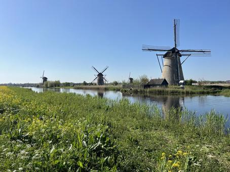 キンデルダイク＝エルスハウトの風車網 キンデルダイク,風車,オランダの写真素材