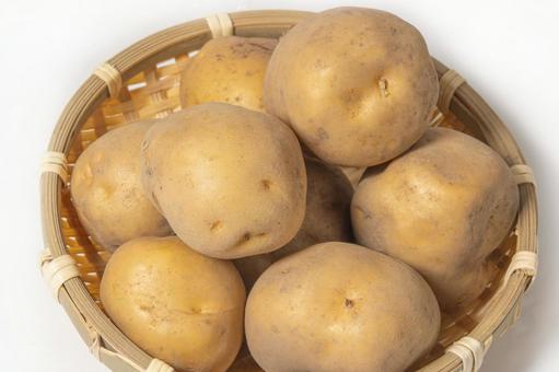 ジャガイモ ジャガイモ じゃがいも,馬鈴薯,ポテトの写真素材