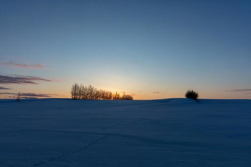 夕暮れの雪原と林 夕暮れの雪原と林の写真