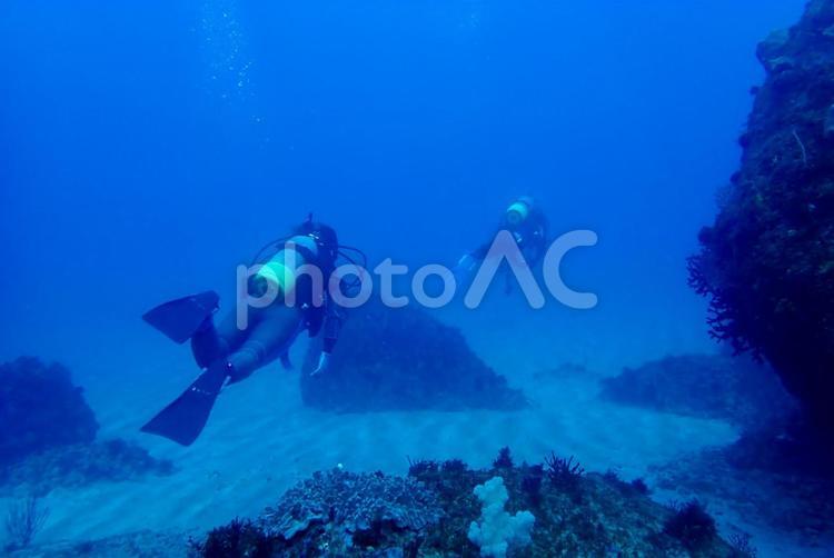 雲見・海中　ダイバーと砂紋 スキューバダイビング,海中,ダイバーの写真素材
