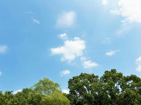 晴れた日の穏やかな青空の風景 空模様,空,雲の写真素材
