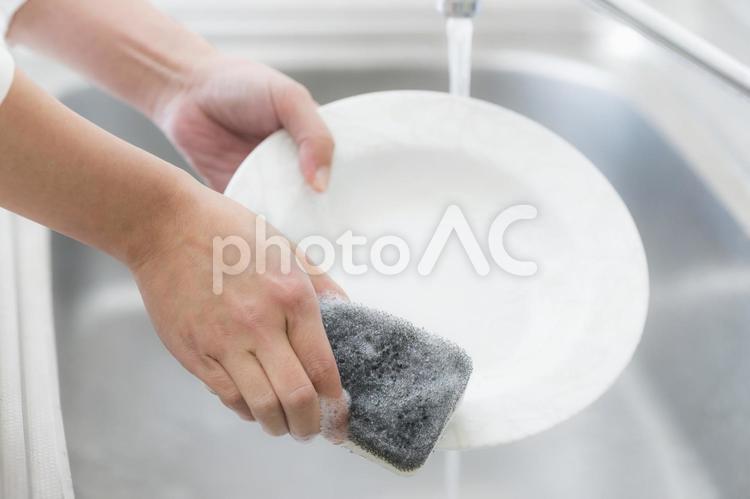 食器を洗う女性 食器,皿,お皿の写真素材