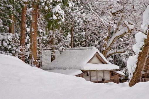 冬の白川郷 白川郷,豪雪,雪景色の写真素材