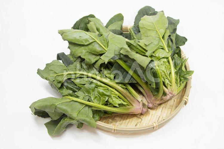 紀州てまり野菜 ほうれん草 紀州てまり野菜,ほうれん草,野菜の写真素材