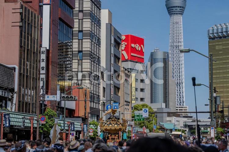 三社祭の風景 三社祭,神輿,伝統の写真素材