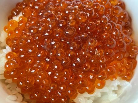 イクラご飯 イクラご飯の写真