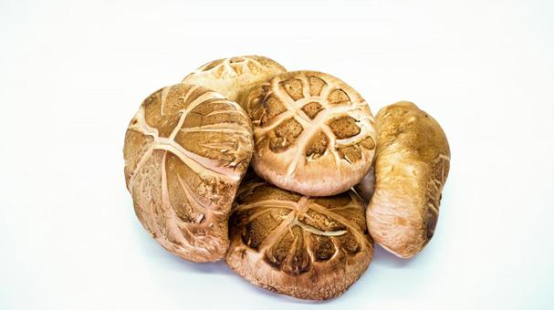 生しいたけの盛り合わせ 生しいたけの盛り合わせ しいたけ,椎茸,きのこの写真素材