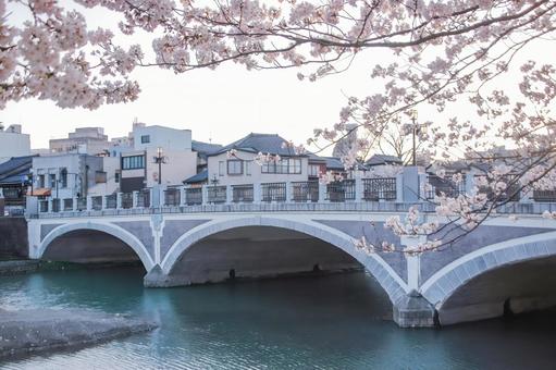 夕暮れ時の浅野川大橋と桜(石川) 夕暮れ時の浅野川大橋と桜(石川) 浅野川大橋,金沢,石川県の写真素材
