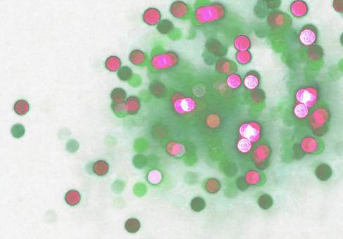 ぽわ丸 ぽわ丸 細菌,繊細,ウィルスの写真素材